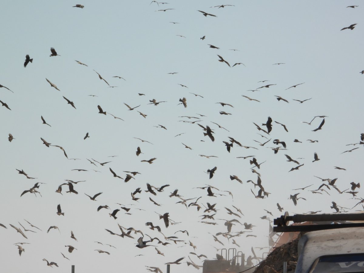 קרדיט: מורית רוזן