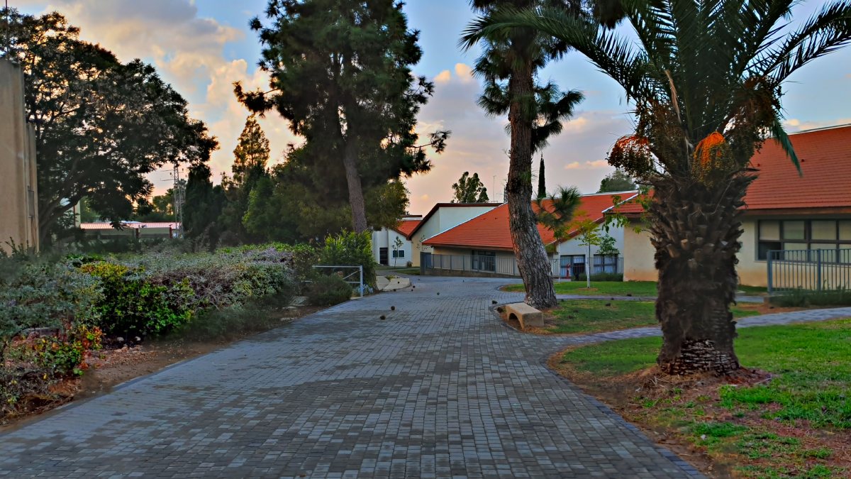 כניסה לצפית