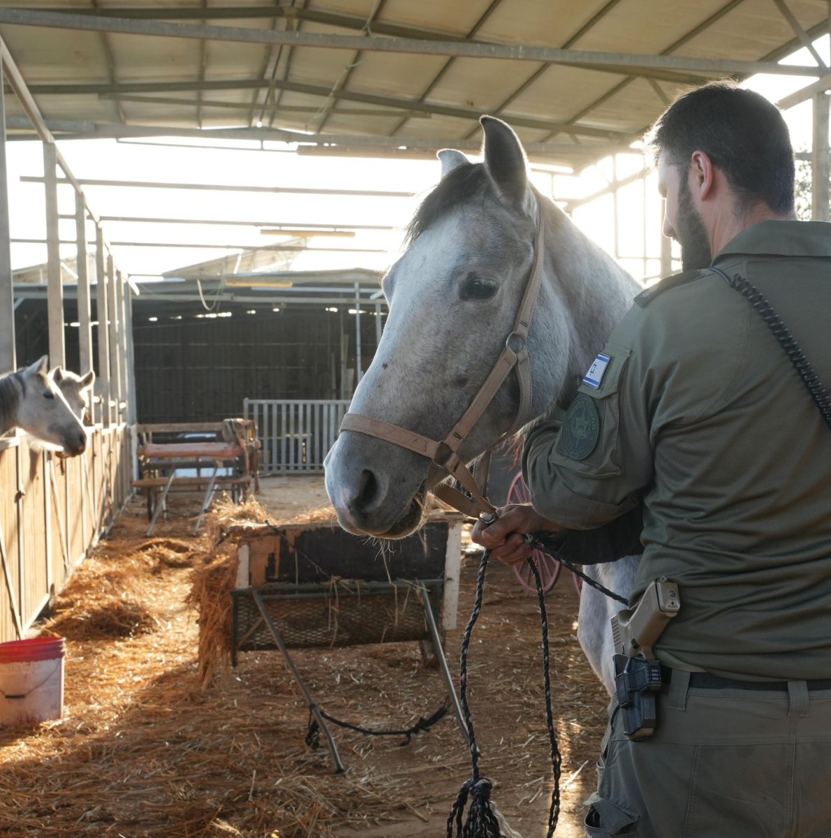 דוברות משטרה