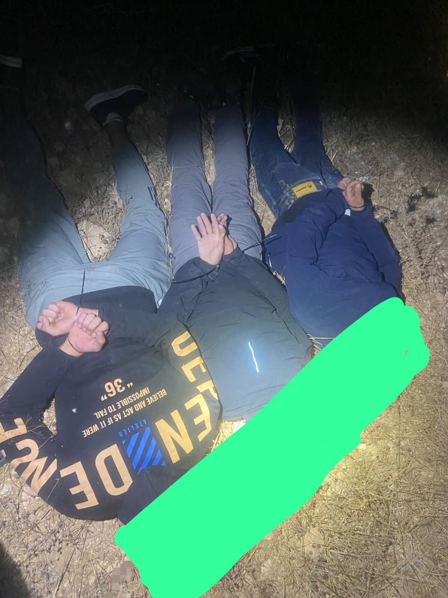 דוברות משטרה