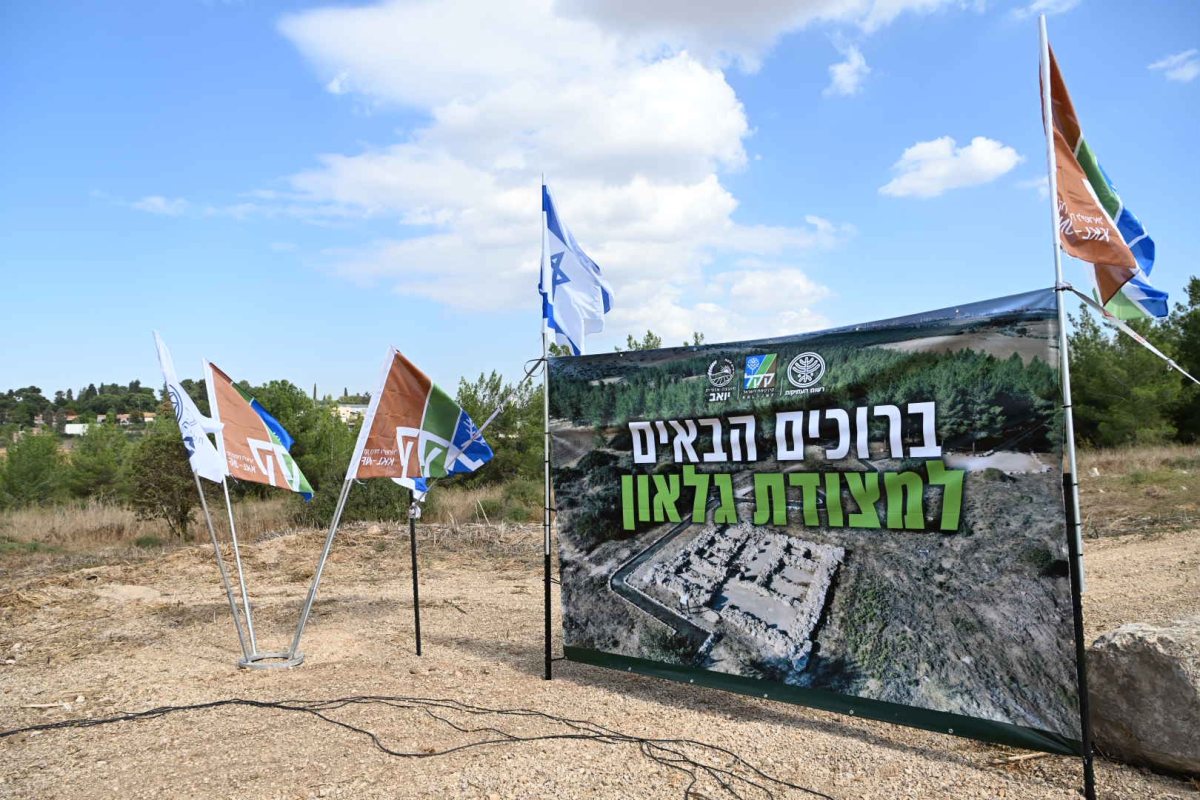 ארז ורדון - מועצה אזורית יואב