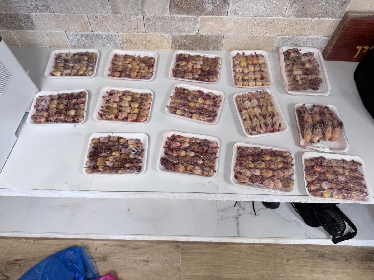 קרדיט צילום: דוברות המשטרה ורשות הטבע והגנים