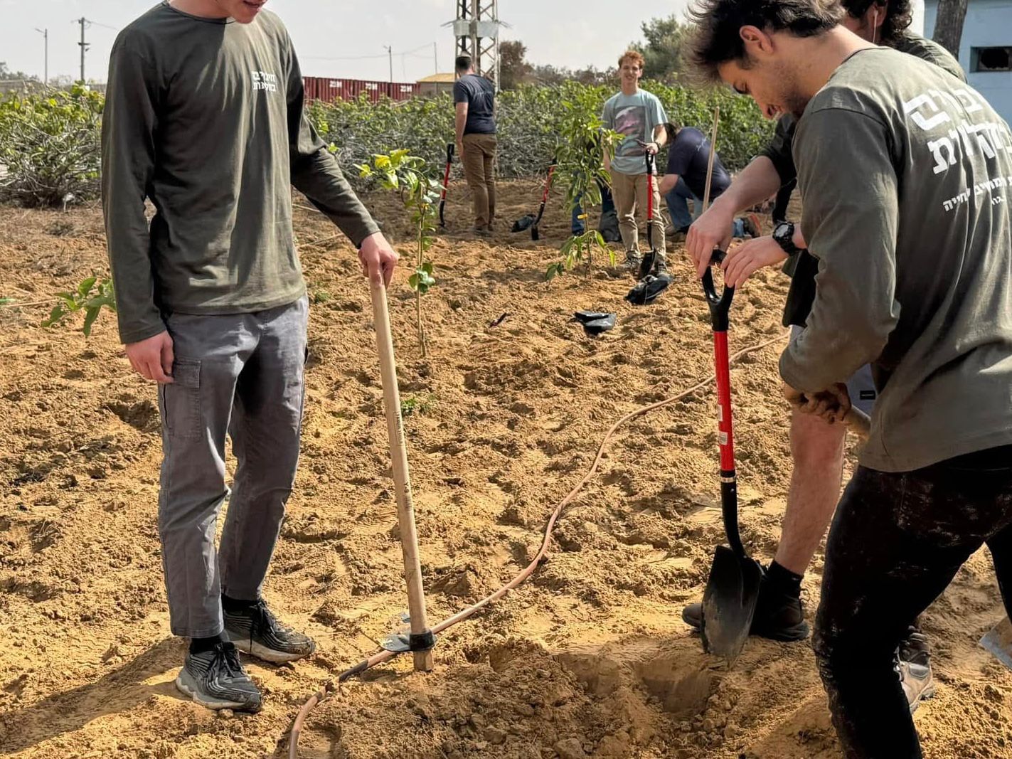  קרדיט: חיבורים בחקלאות.