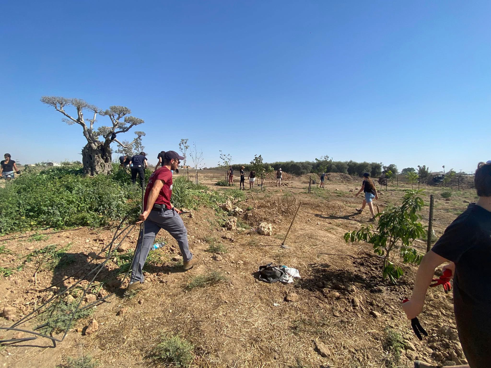  קרדיט: חיבורים בחקלאות.