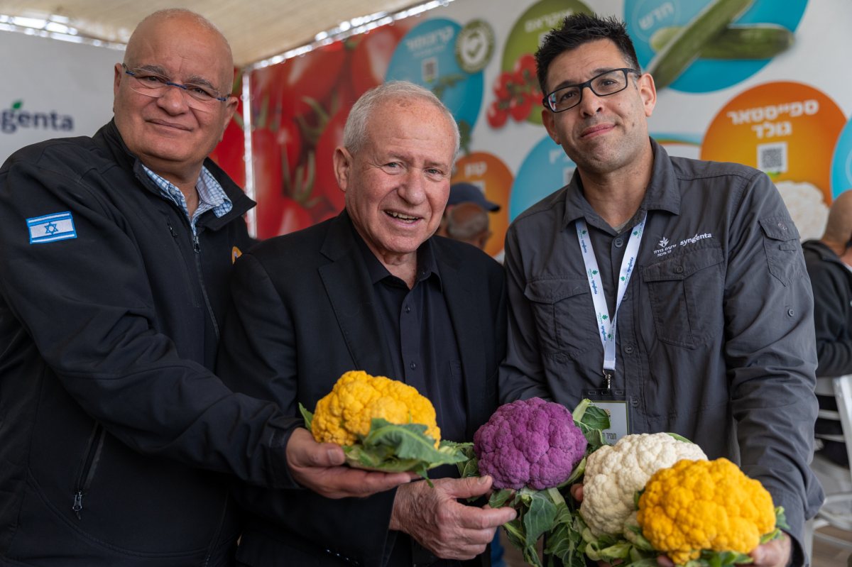 צילום אפרת פרנקנשטיין