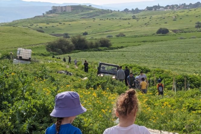 קרדיט: חיבורים בחקלאות.