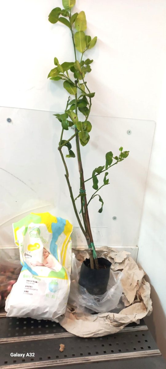 קרדיט צילום משרד החקלאות וביטחון המזון