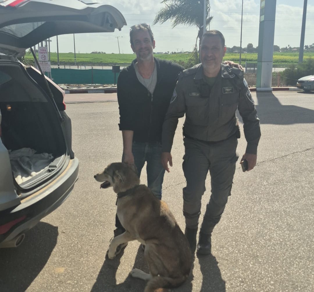 דוברות משטרה