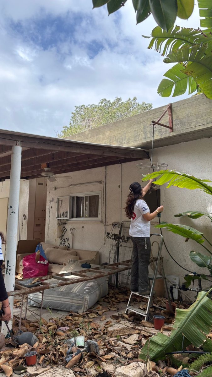 צילום: ארגון לב אחד