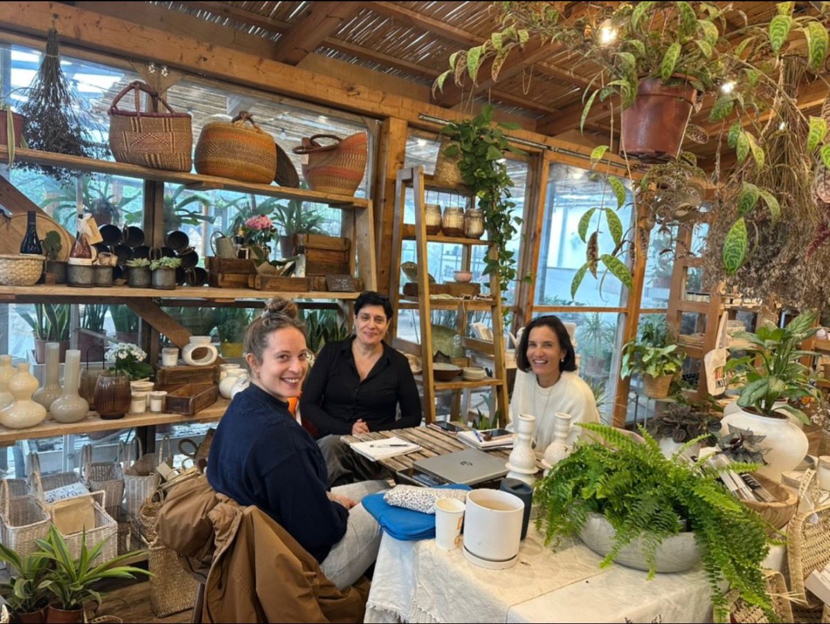 קרדיט: איזון