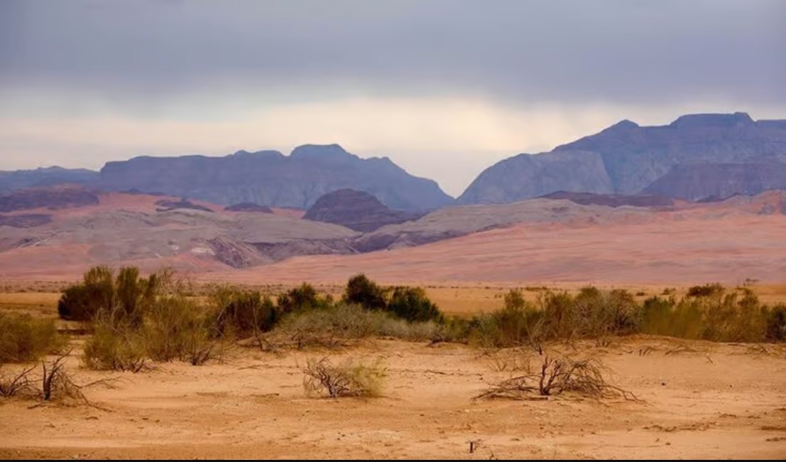 צילום דורון ניסים רשות הטבע והגנים