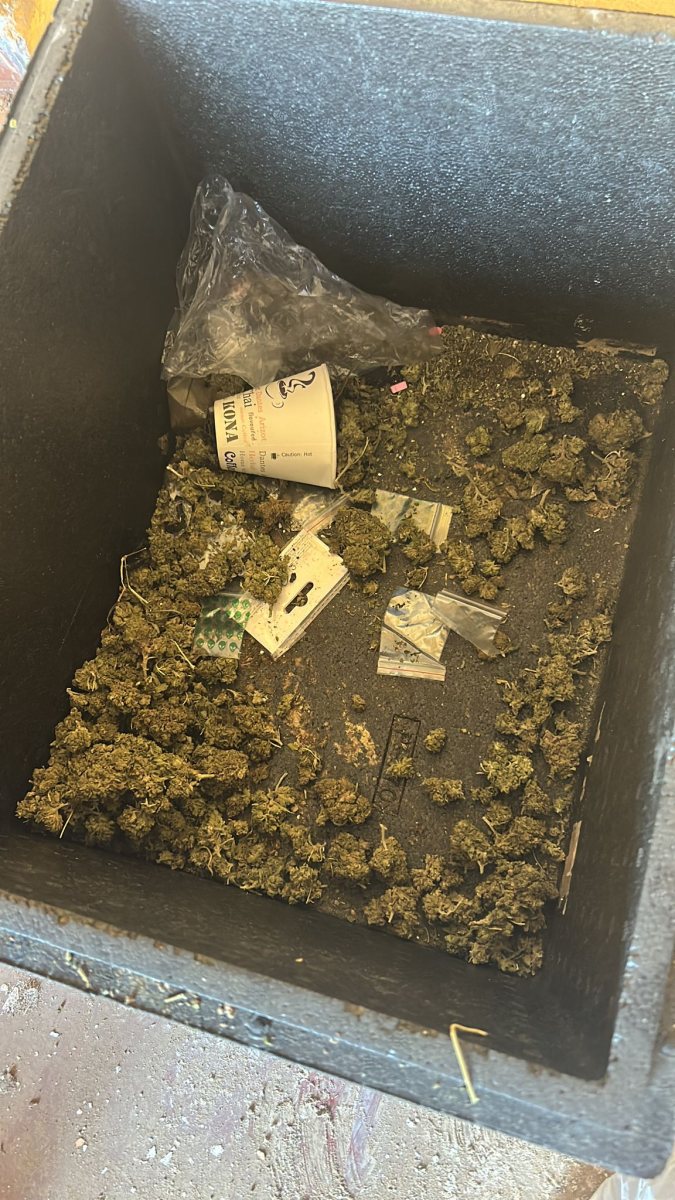 דוברות משטרה