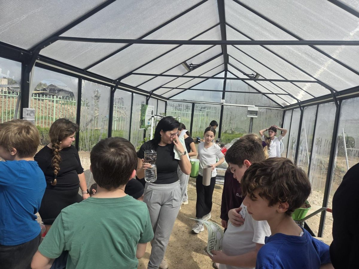 תמונות באדיבות המועצה.