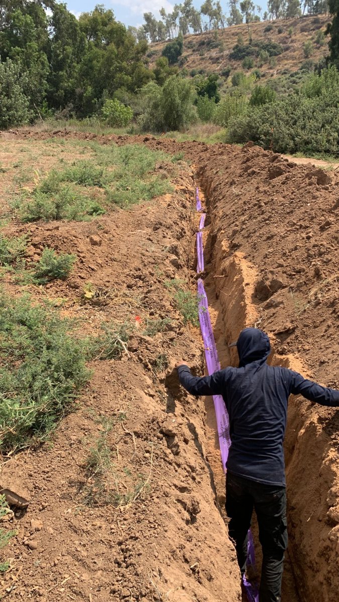 תמונות באדיבות המועצה.