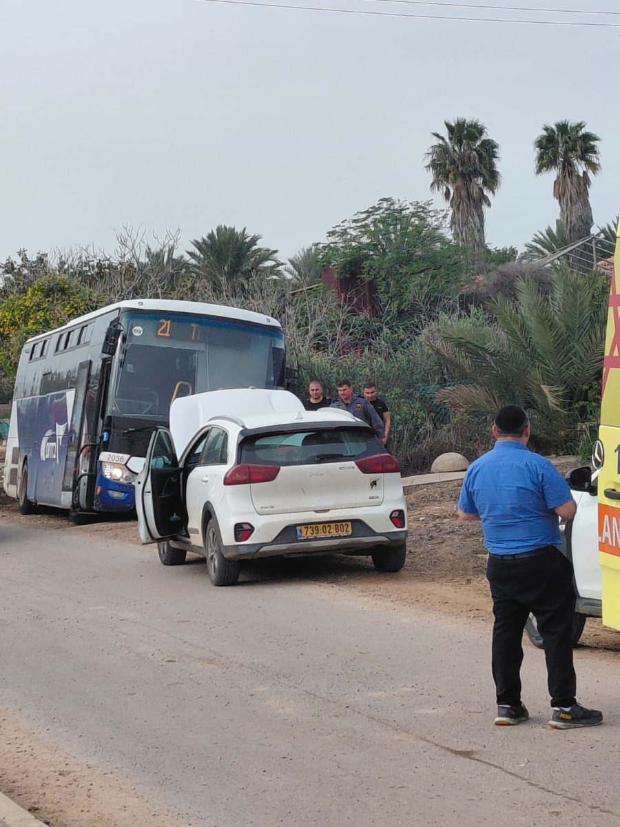 צילום אביב נתנאל
