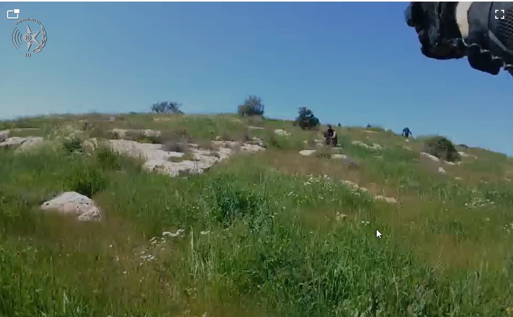 דוברות משטרה