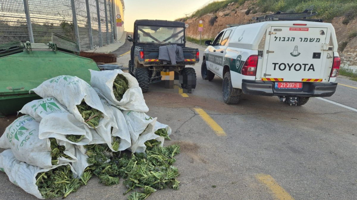 דוברות משטרה 