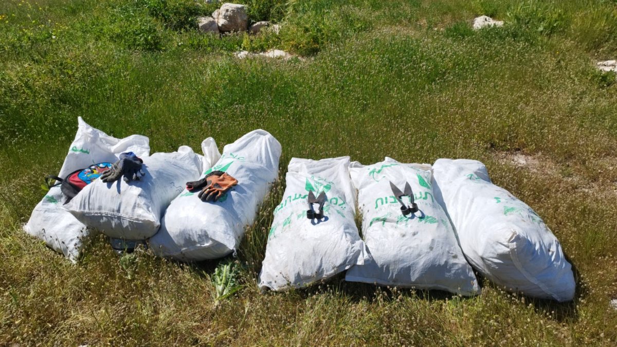 דוברות משטרה