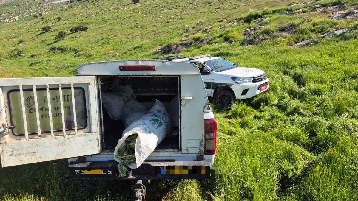 דוברות משטרה