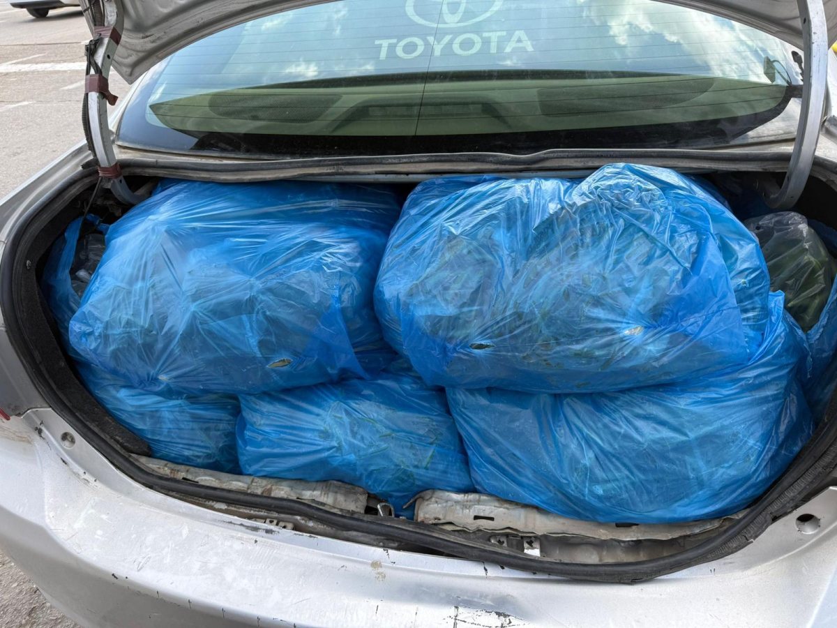 צילום: משרד החקלאות וביטחון המזון