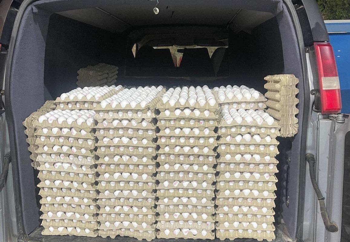 צילום: משרד החקלאות וביטחון המזון