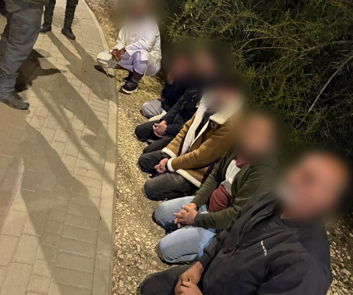 דוברות משטרה