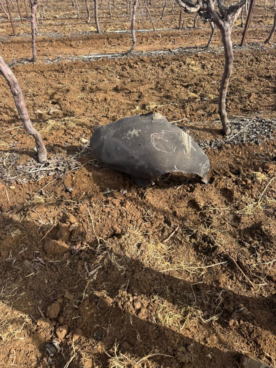 דובורת משטרה