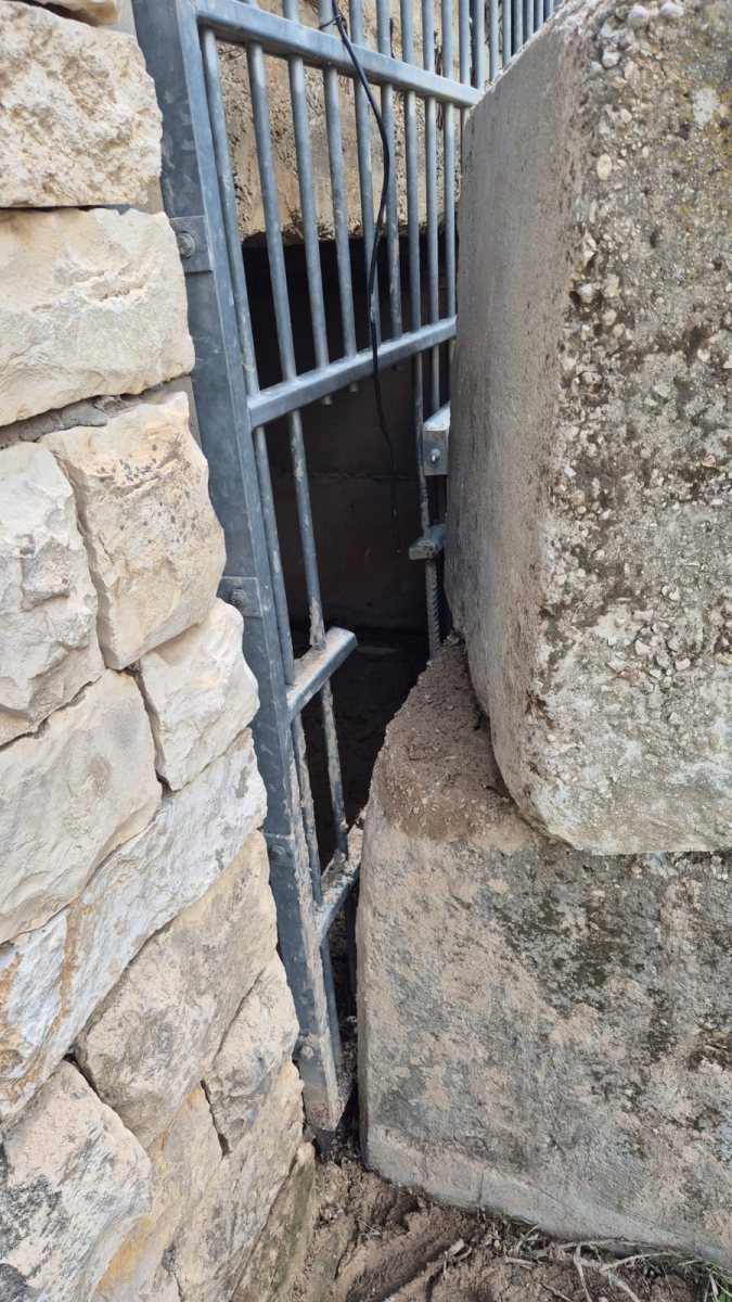 דוברות משטרה