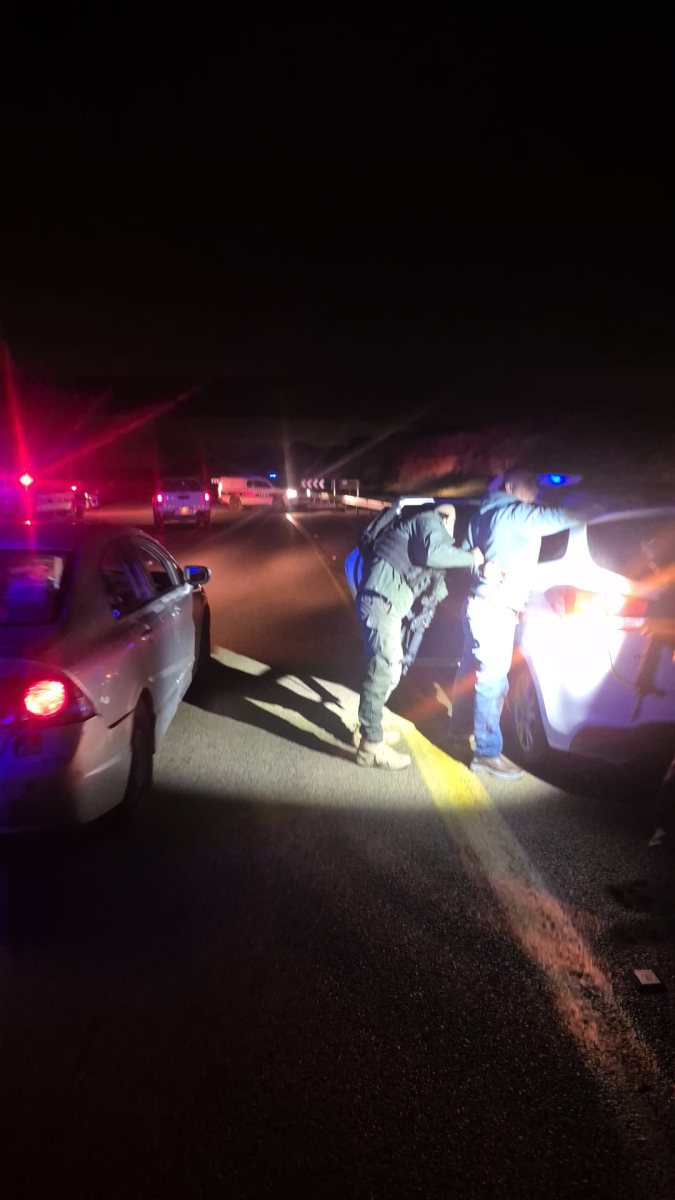 דוברות משורה