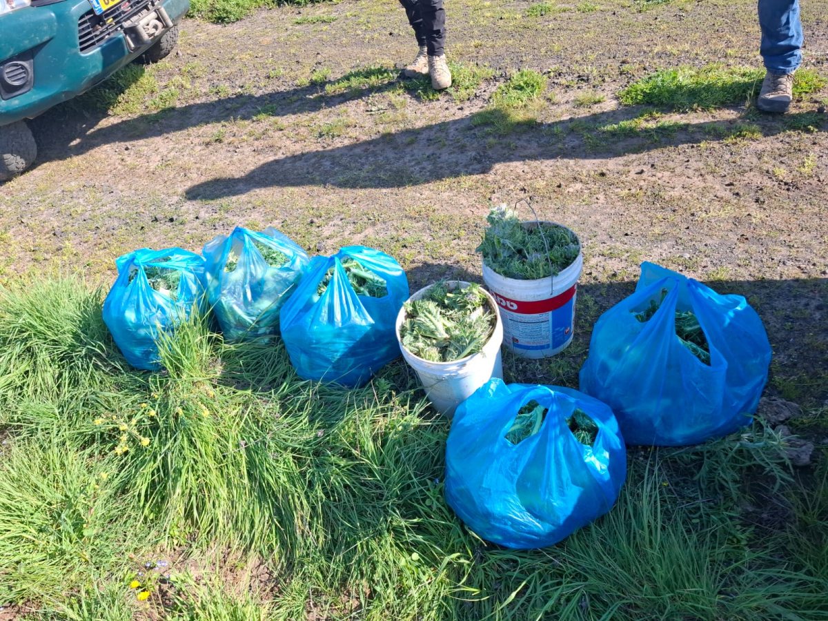 צילום - אוריה וזאנה, רשות הטבע והגנים