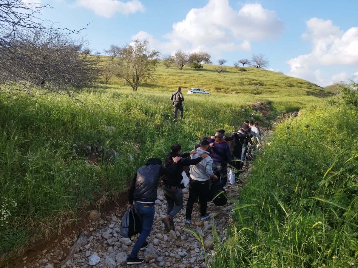 דוברות משטרה