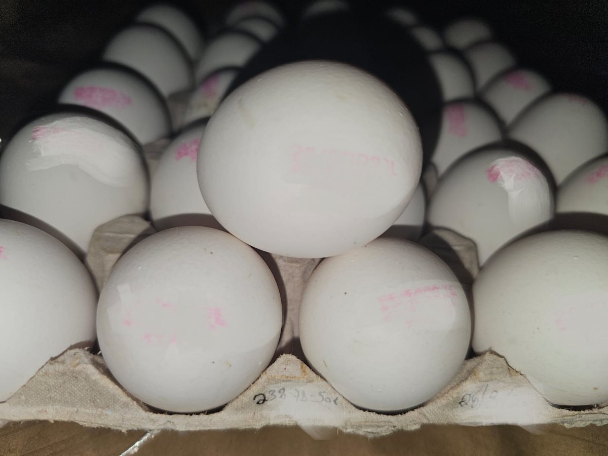 צילום: משרד החקלאות וביטחון המזון