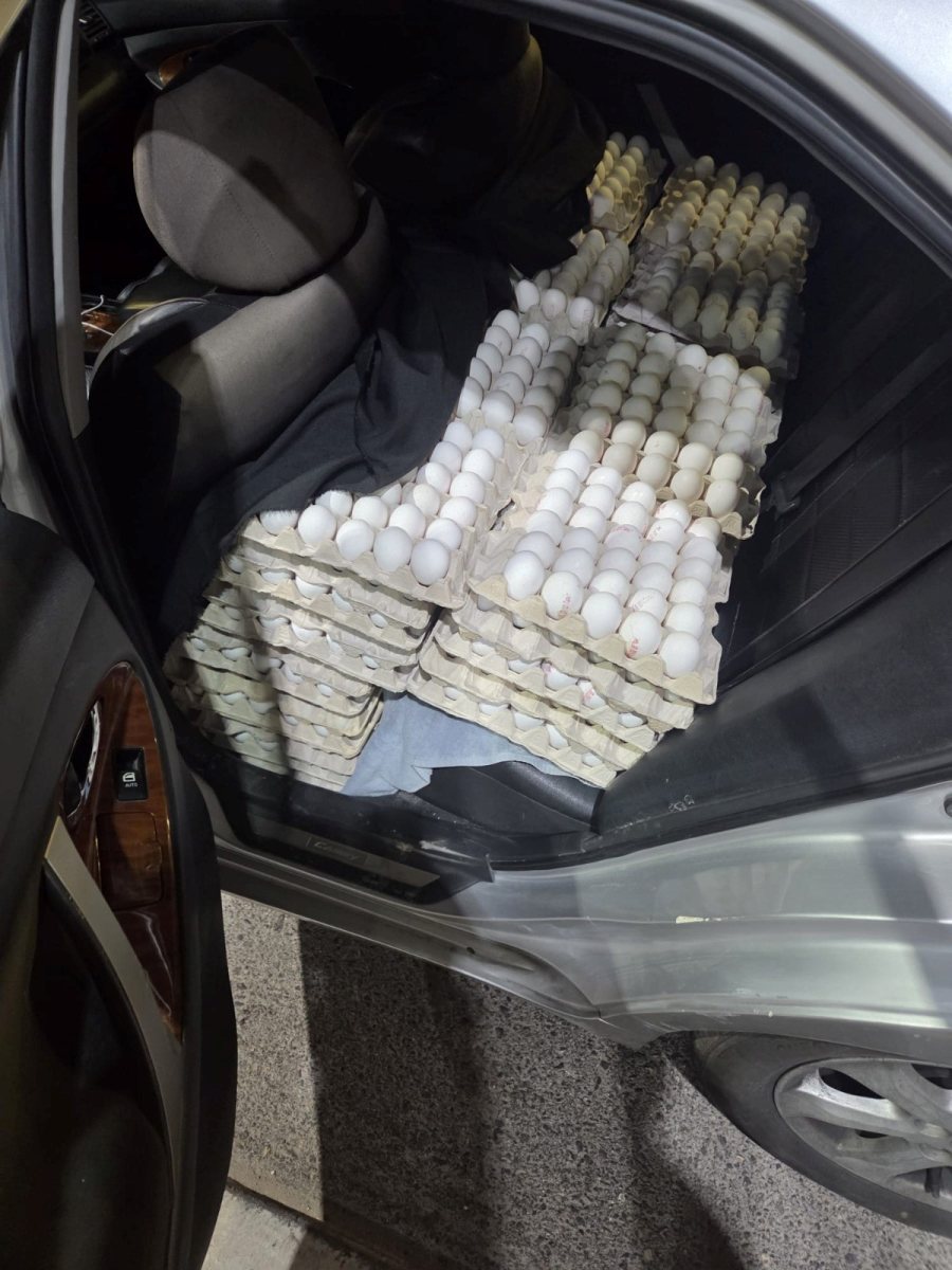 משרד החקלאות וביטחון המזון  מג"ב   