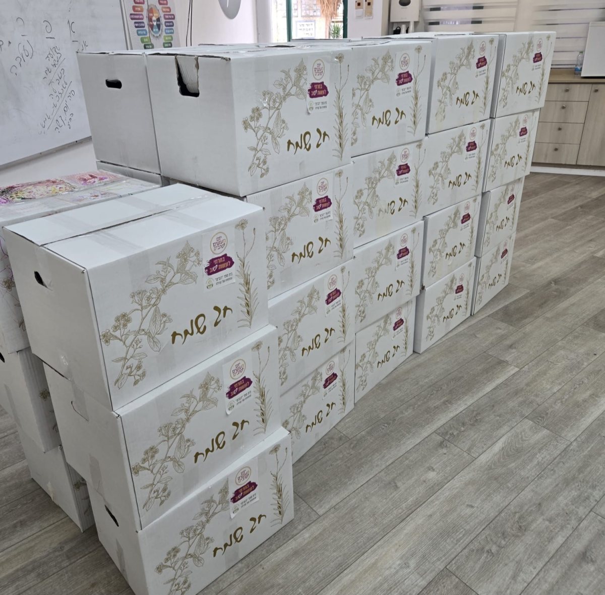 צילום: לילך שלום