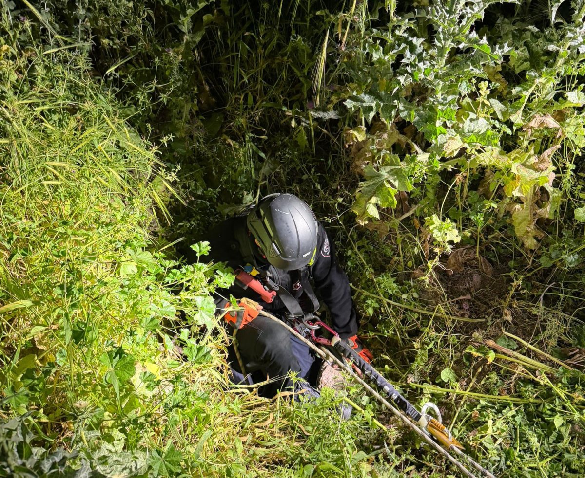 כבאות והצלה 