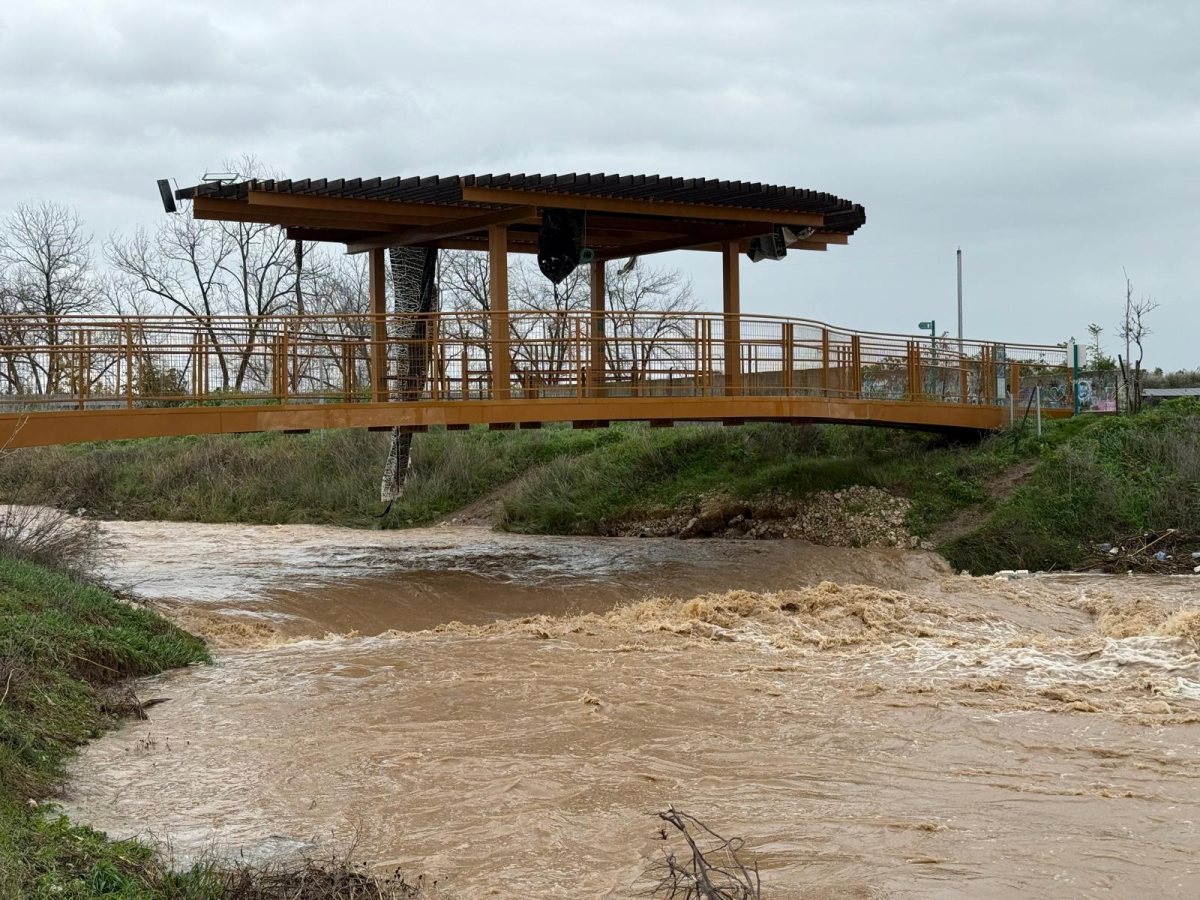 צילום חורפי: גלעד מסטאי