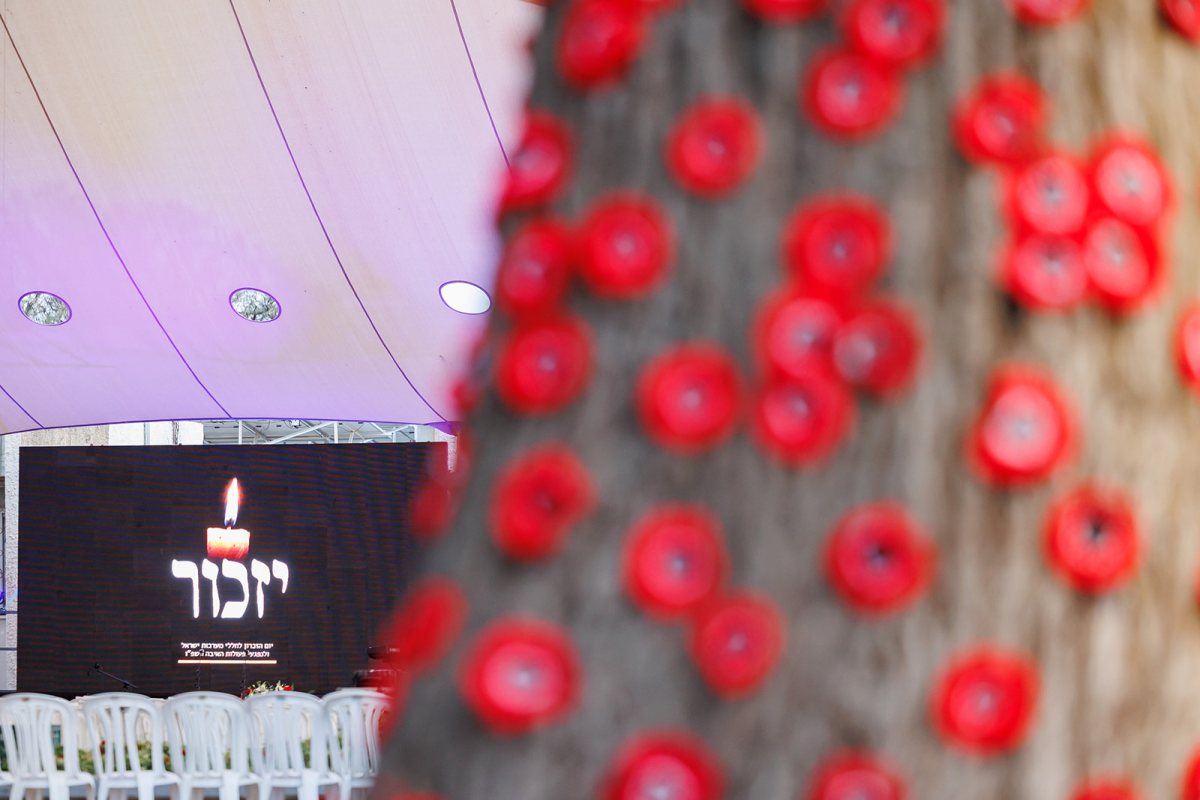 קרדיט צילום: נגה שדמי