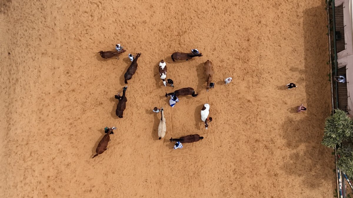 קרדיט צילום: איל דמרי
