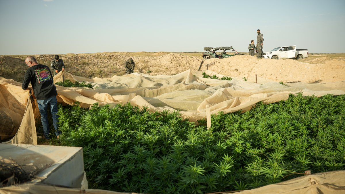 דוברות משטרה 