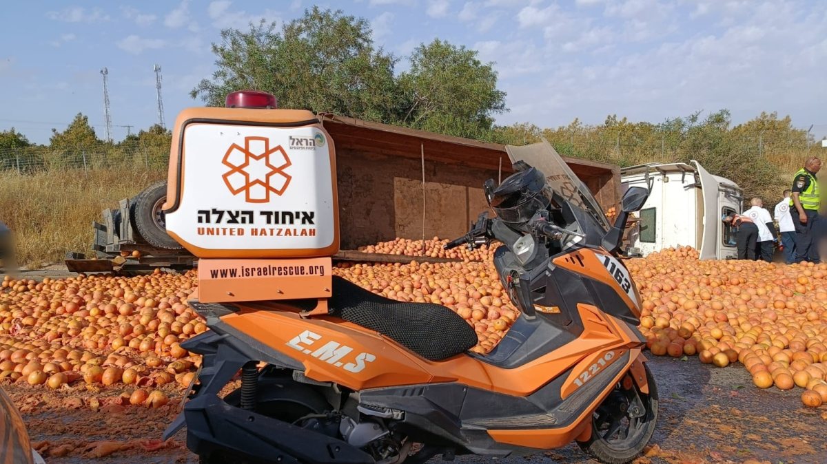 איחוד הצלה 