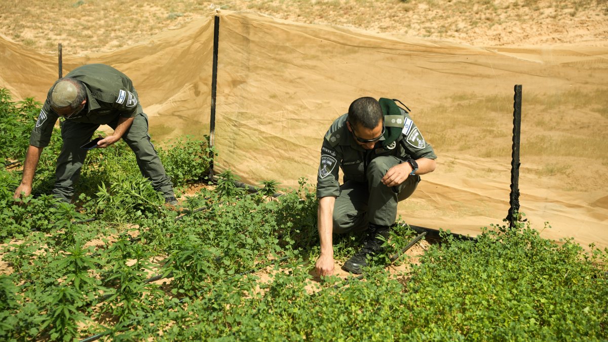 דוברות משטרה 