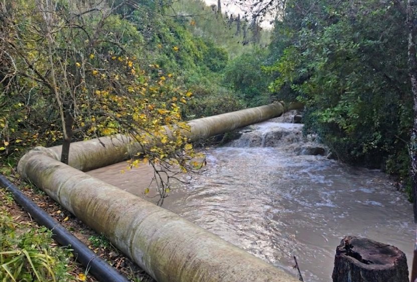 אילוסטרציה: א.ב פלר