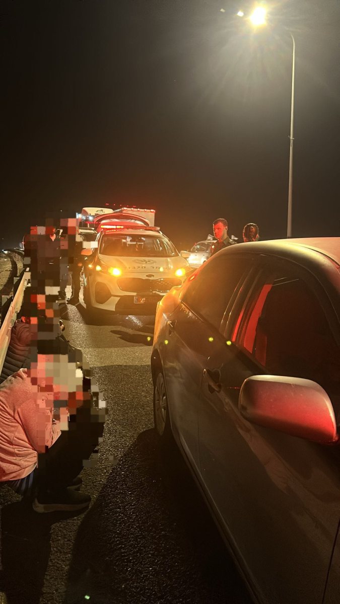 דובורת משטרה 