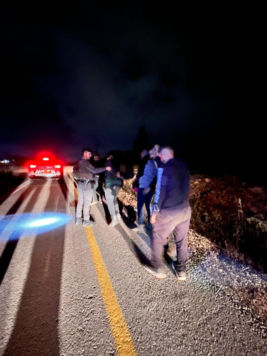 דוברות משטרה 