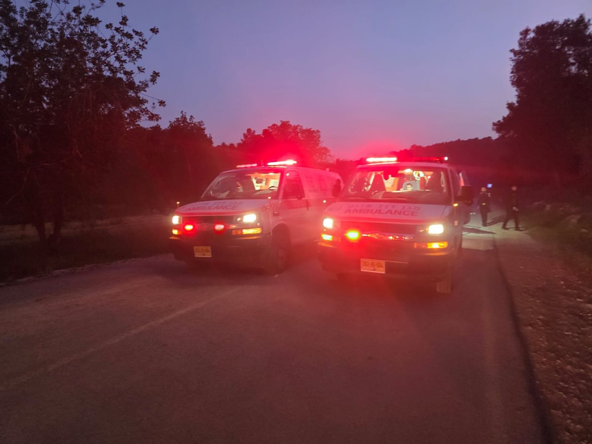 דוברות מד"א