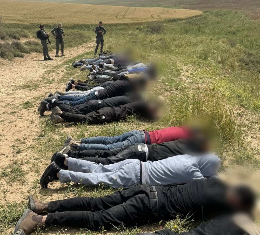 דוברות משטרה