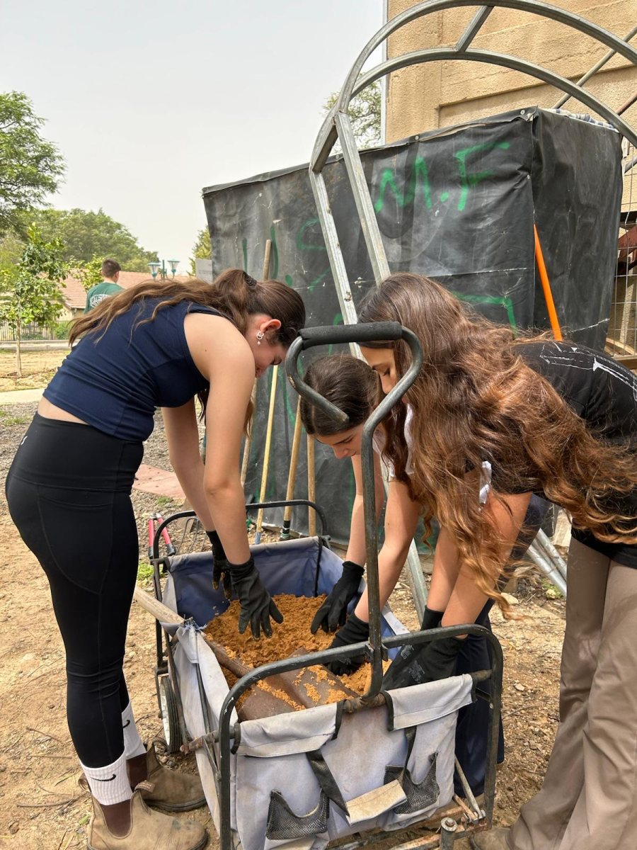 באדיבות המועצה