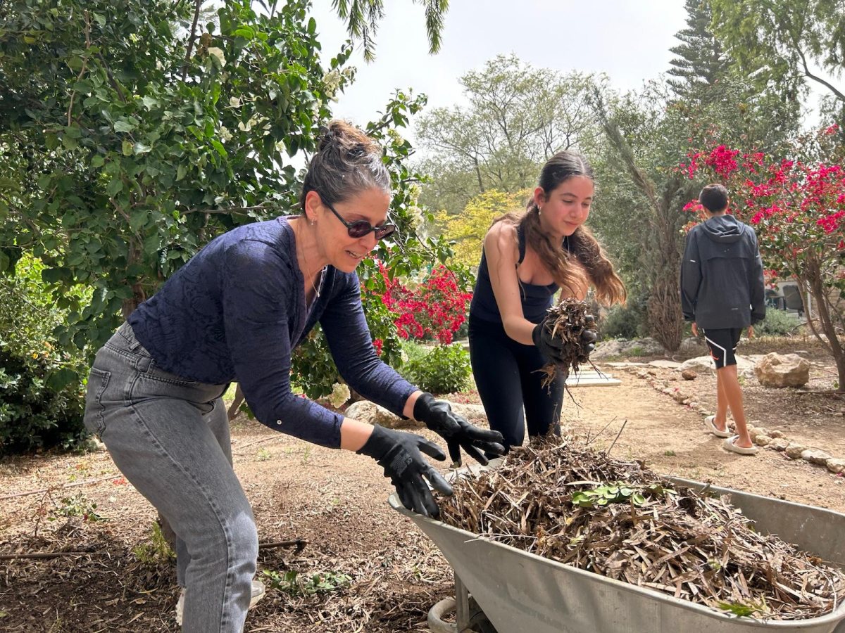 באדיבות המועצה