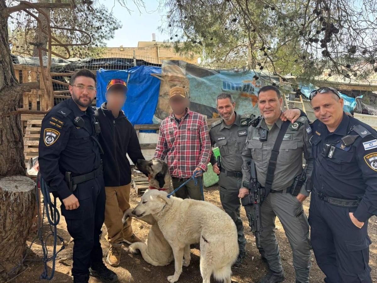 דוברות משטרה