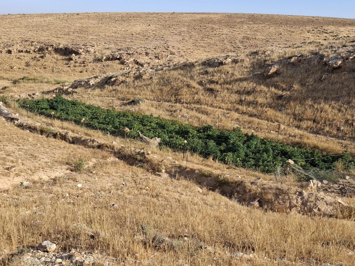 דוברות משטרה 